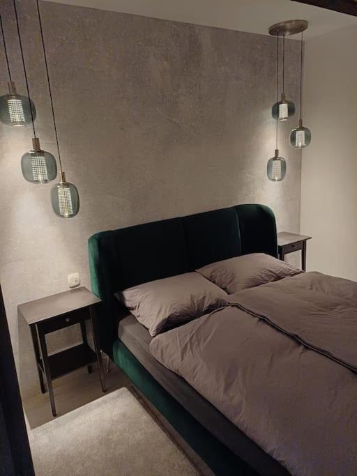 Apartman Ena Radiceva Zagreb Eksteriør billede