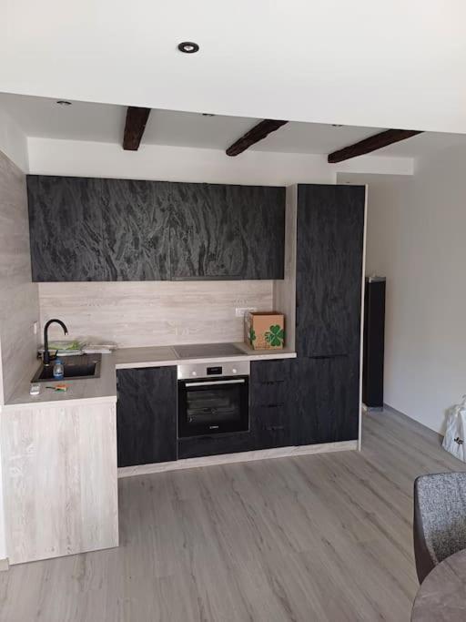 Apartman Ena Radiceva Zagreb Eksteriør billede